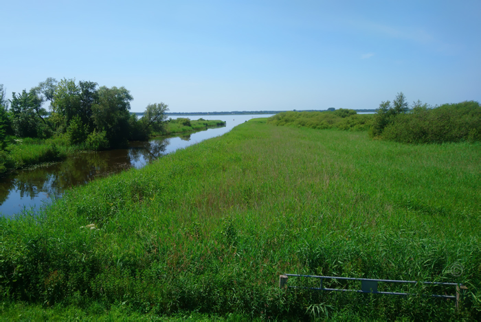 Zuidlaardermeer