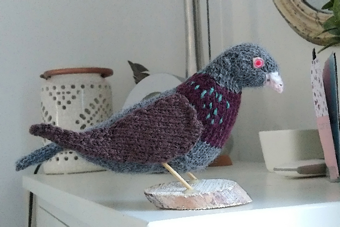 Postduif Carrier Pigeon Columba livia domestica