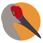 Sandhill Crane